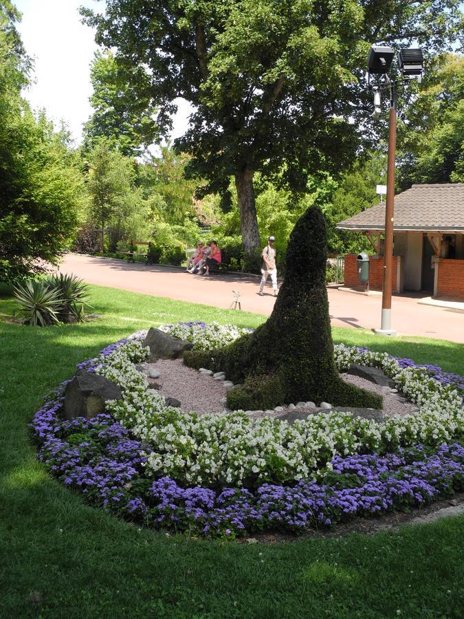 Aparthotel Privilodges Carre De Jaude
